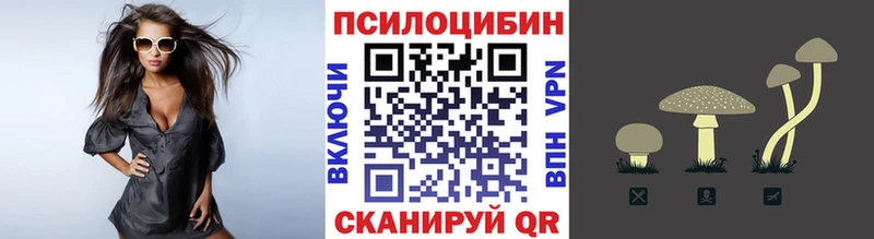 где можно купить   Полесск  Галлюциногенные грибы Cubensis 