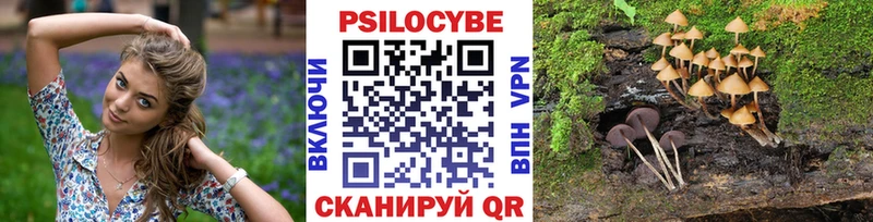 Псилоцибиновые грибы Cubensis Полесск